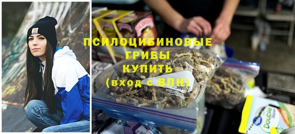 гидра Нягань